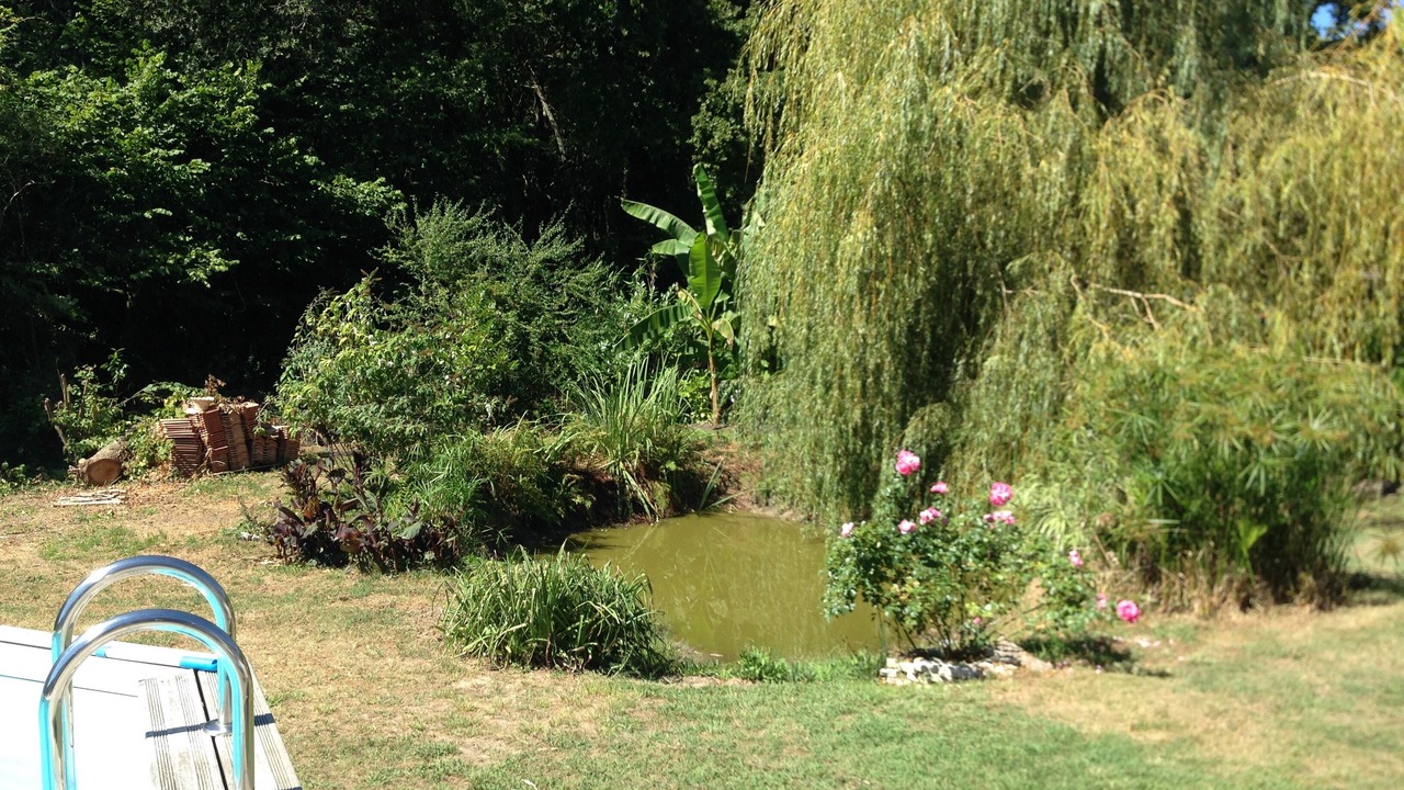 Photo of Outdoor in Saubion