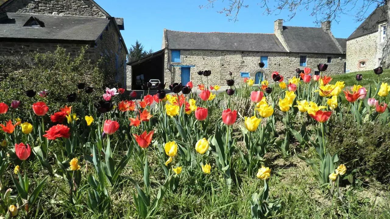 Photo of Outdoor in Taden