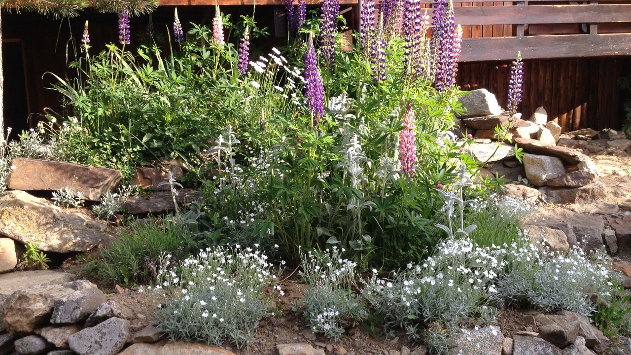 Photo of Outdoor in Puyvalador