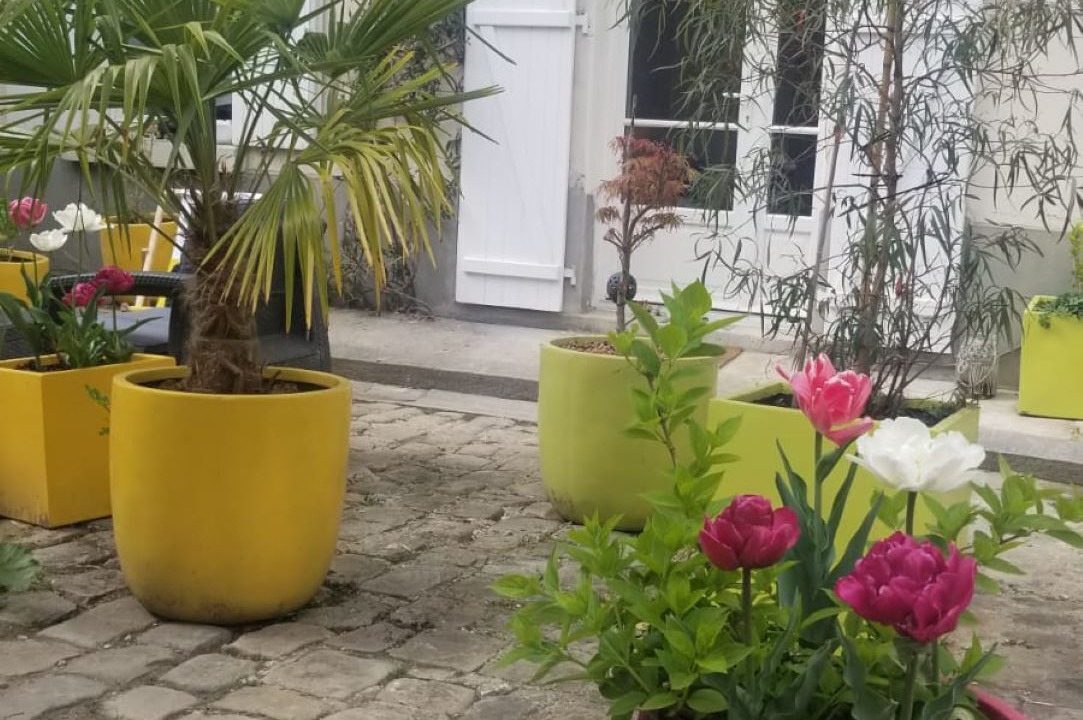 Photo of Outdoor in Plaisance