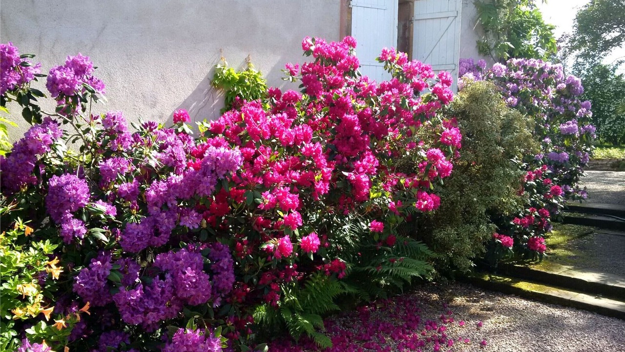 Photo of Outdoor in Aydoilles