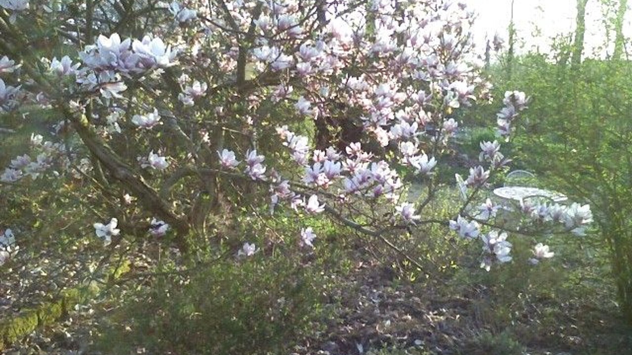 Photo of Outdoor in Aydoilles