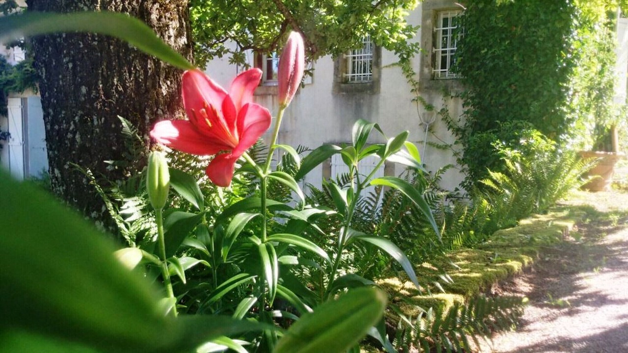 Photo of Outdoor in Aydoilles