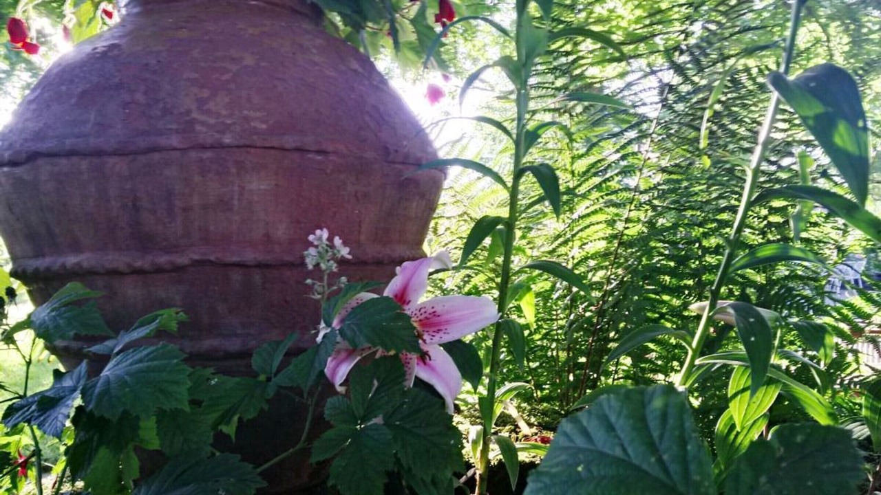 Photo of Outdoor in Aydoilles