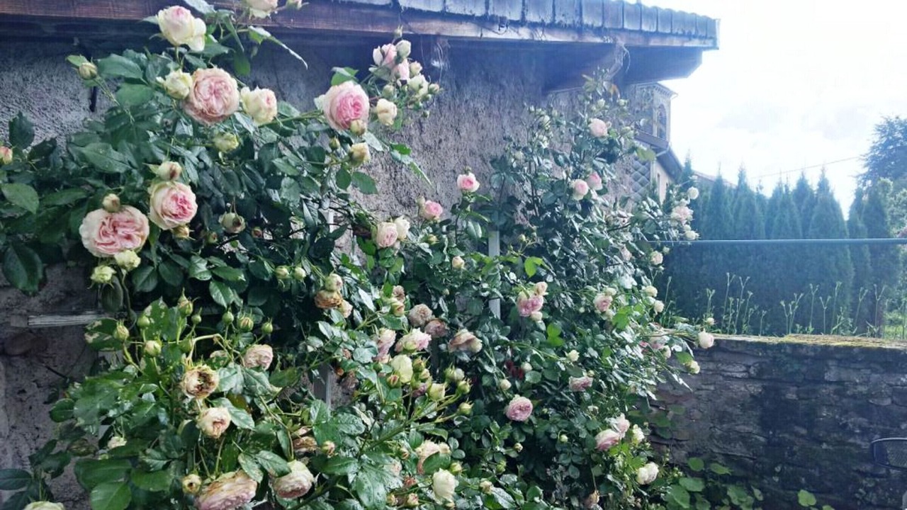 Photo of Outdoor in Aydoilles