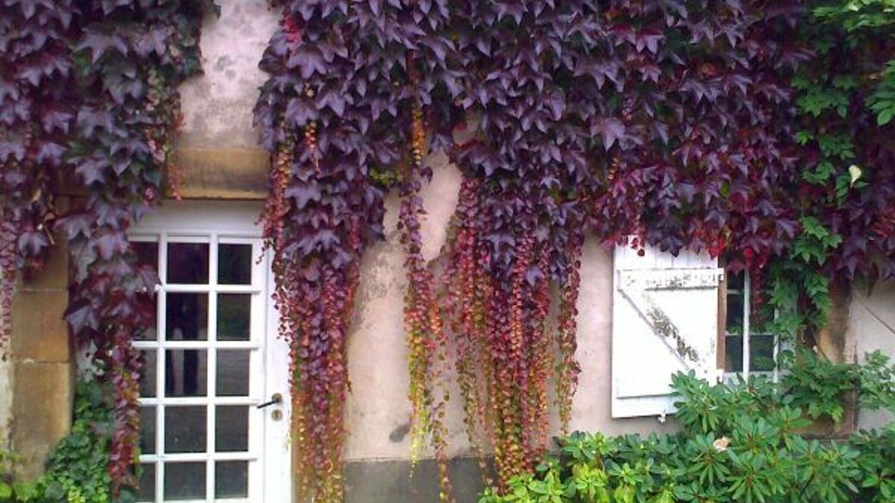 Photo of Outdoor in Aydoilles
