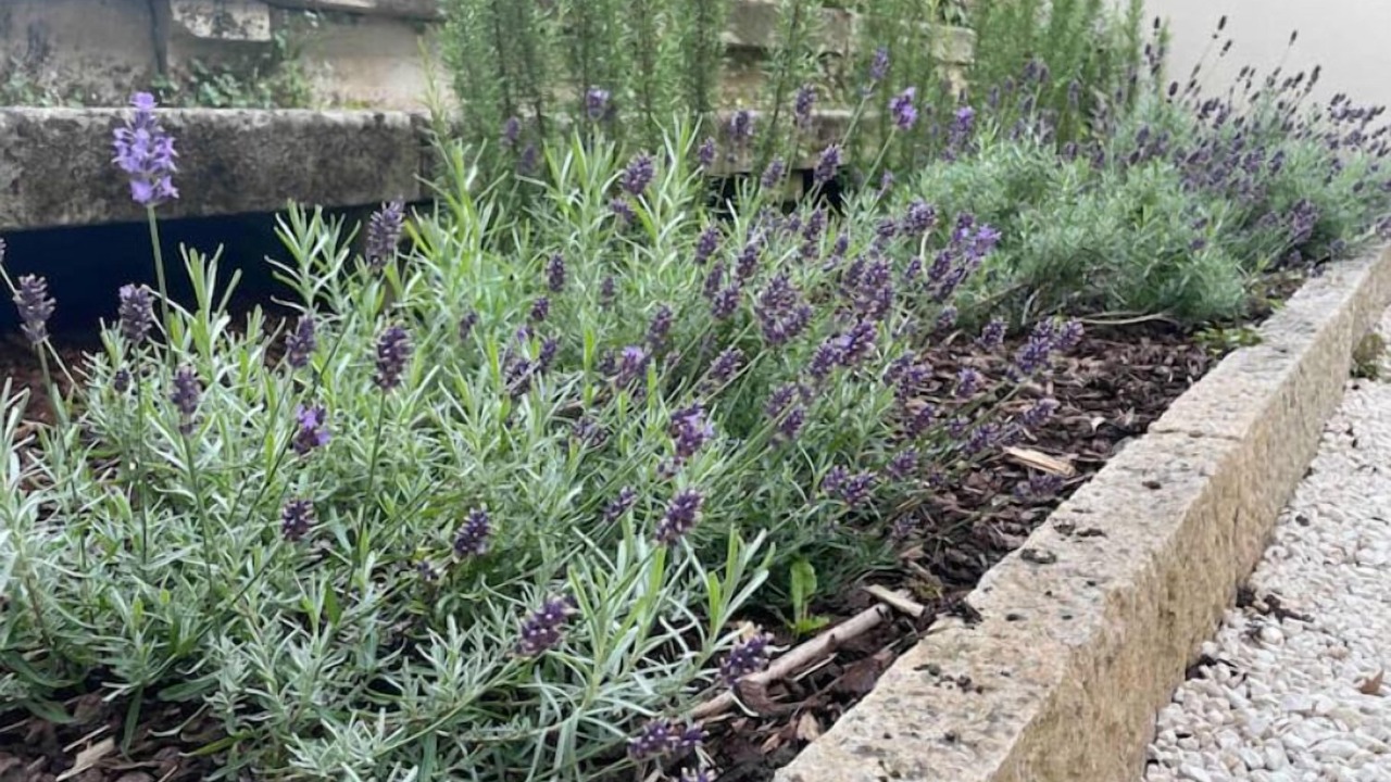 Photo of Outdoor in Chalons-en-Champagne