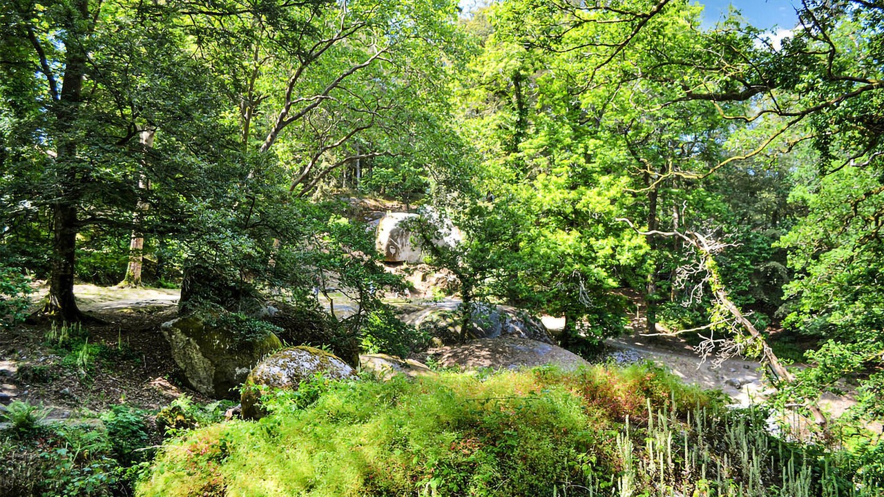 Photo of Outdoor in Plounevez-Moedec