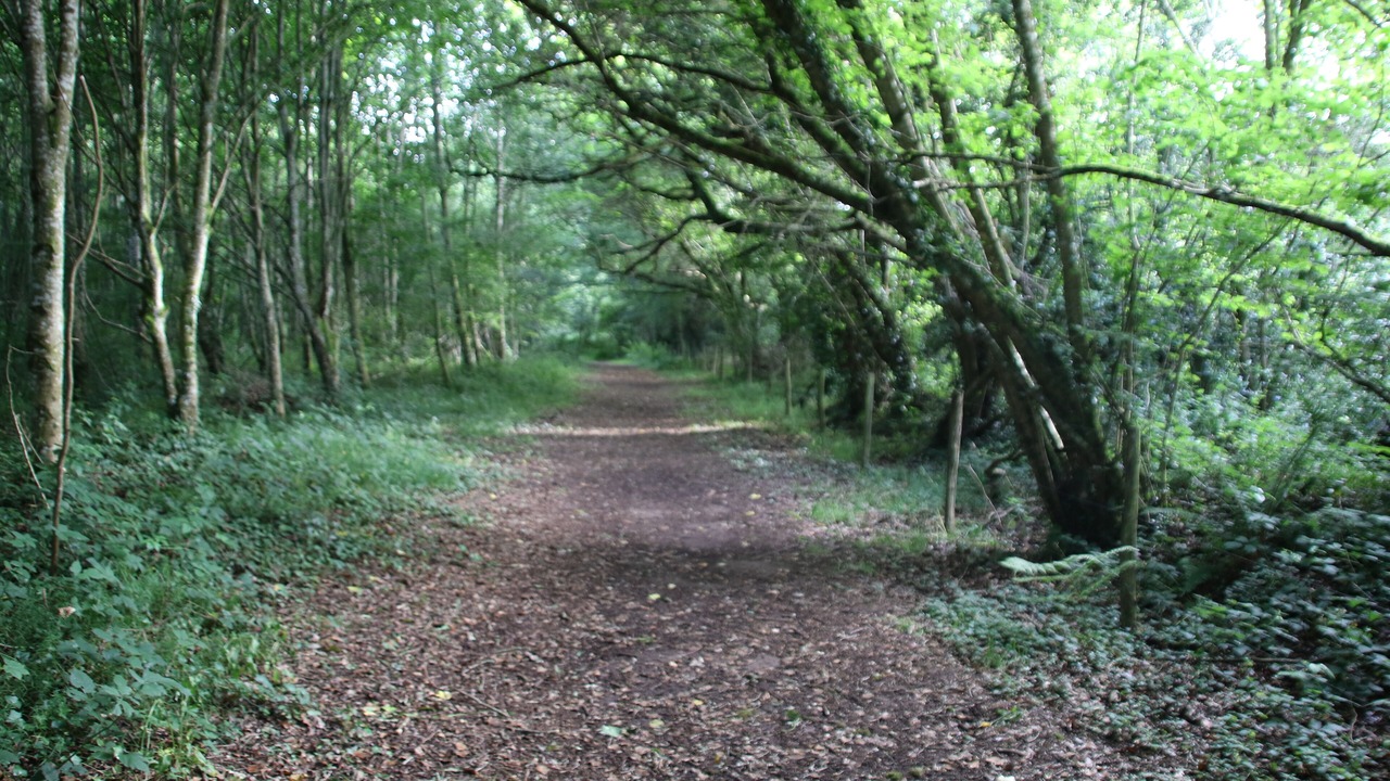 Photo of Outdoor in Plounerin