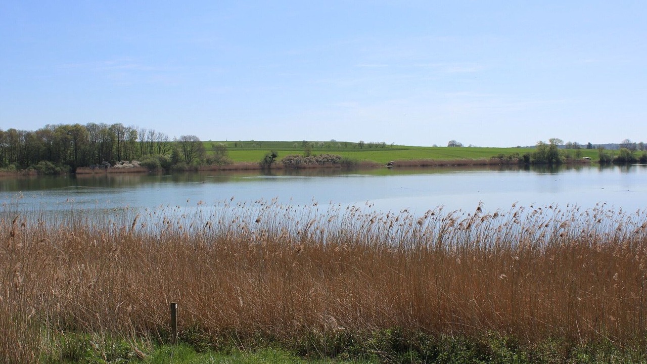 Photo of Others in Bures