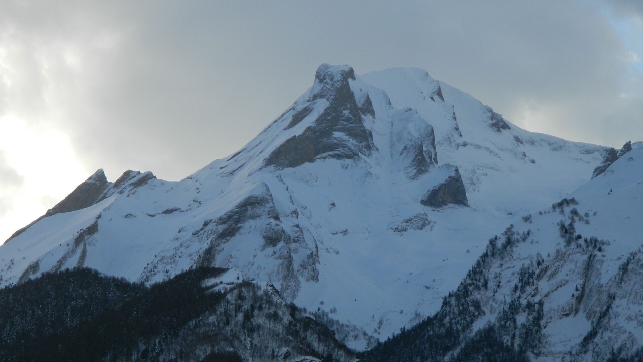 Photo of Others in Beost
