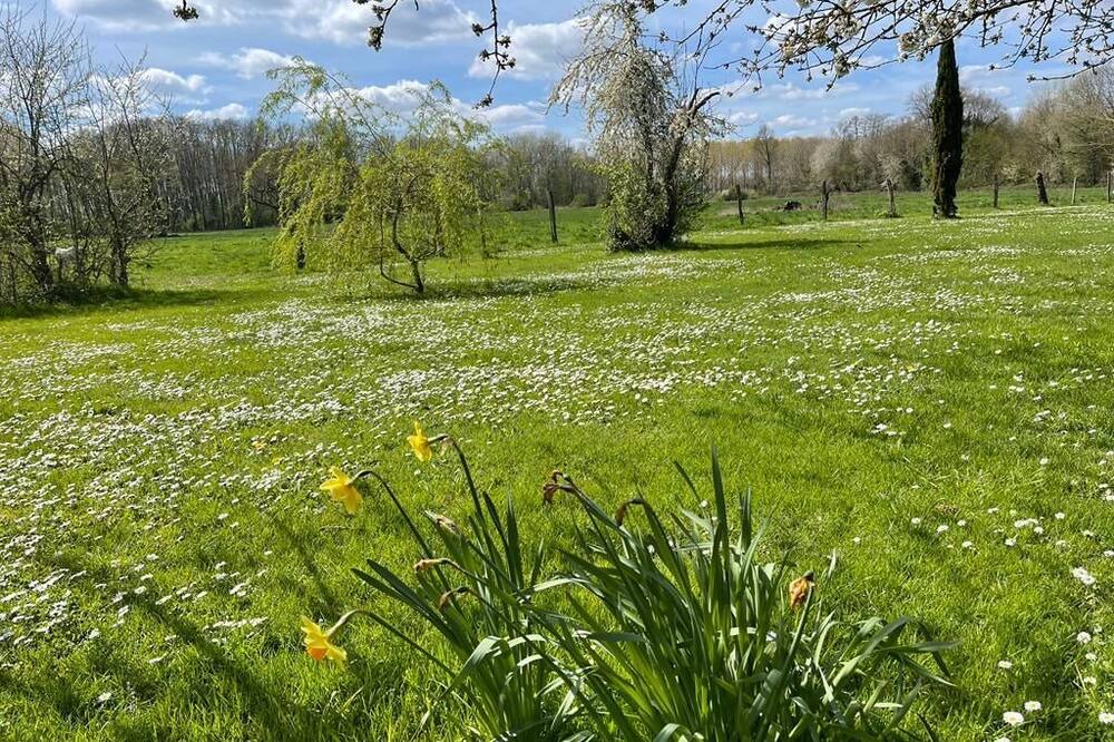 Photo of Outdoor in Villeneuve-sur-Bellot