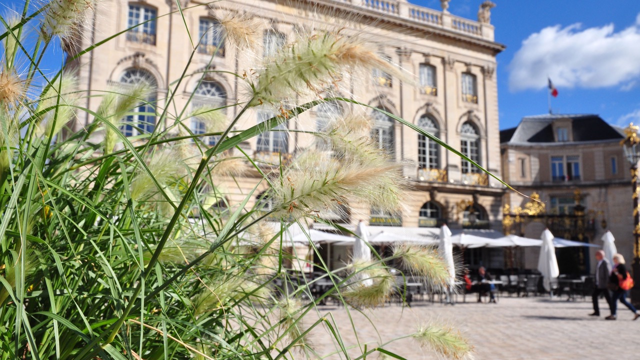 Photo of Outdoor in Nancy City Centre