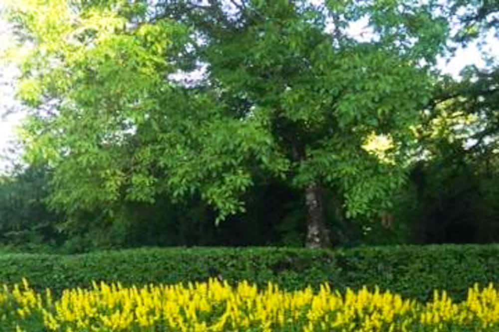 Photo of Outdoor in Fresnes-en-Woevre
