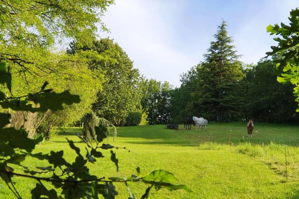 Photo of Outdoor in Puy-l'Eveque