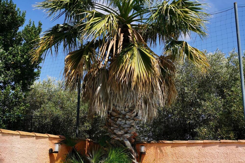 Photo of Outdoor in Marguerittes