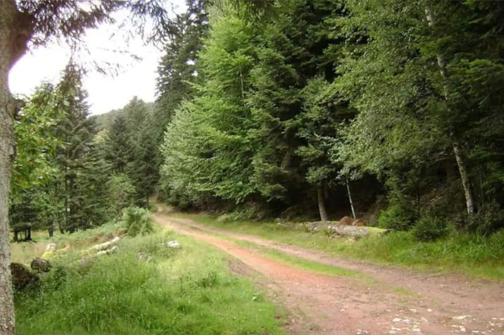 Photo of Outdoor in Wangenbourg-Engenthal