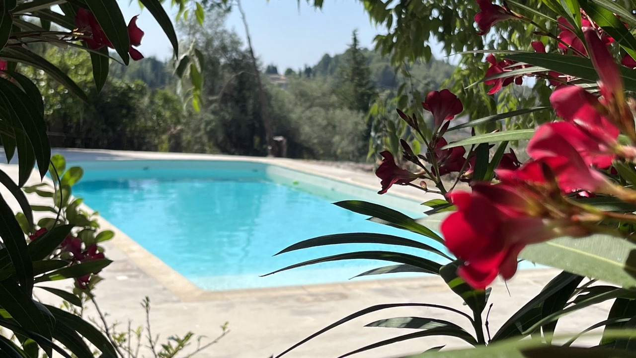 Photo of Outdoor in Le Plan-de-Grasse