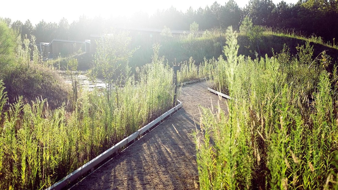 Photo of Outdoor in Saubion