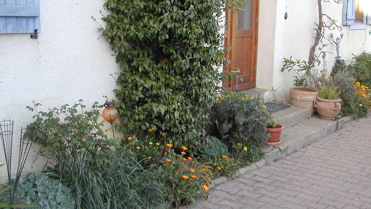 Photo of Outdoor in Libaros