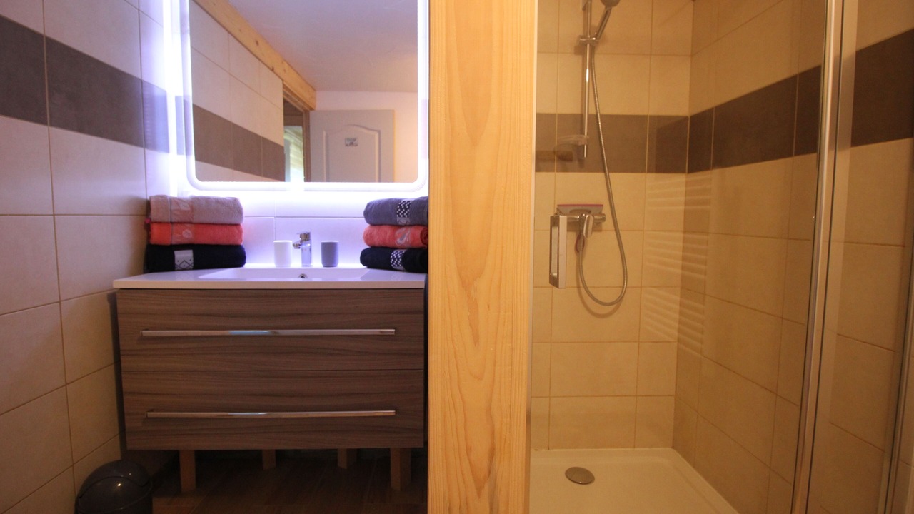 Photo of Bathroom in Bernex