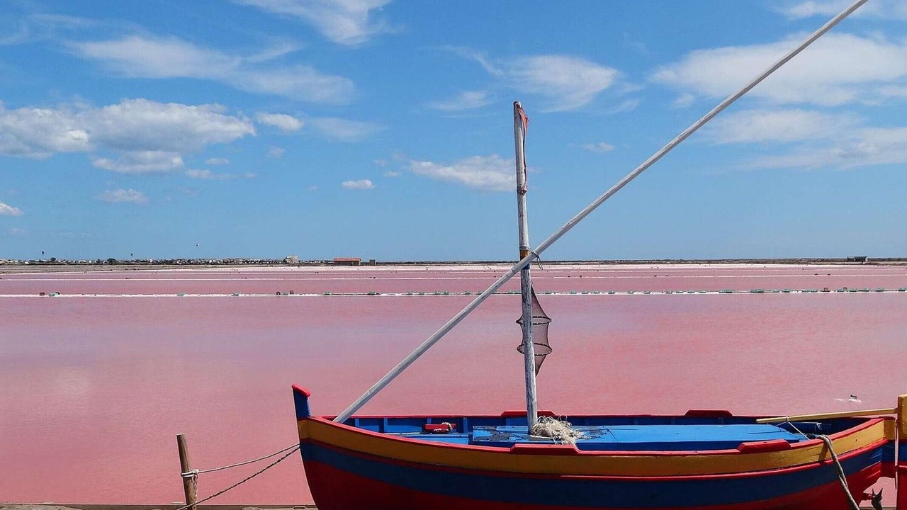 Photo of Others in Gruissan