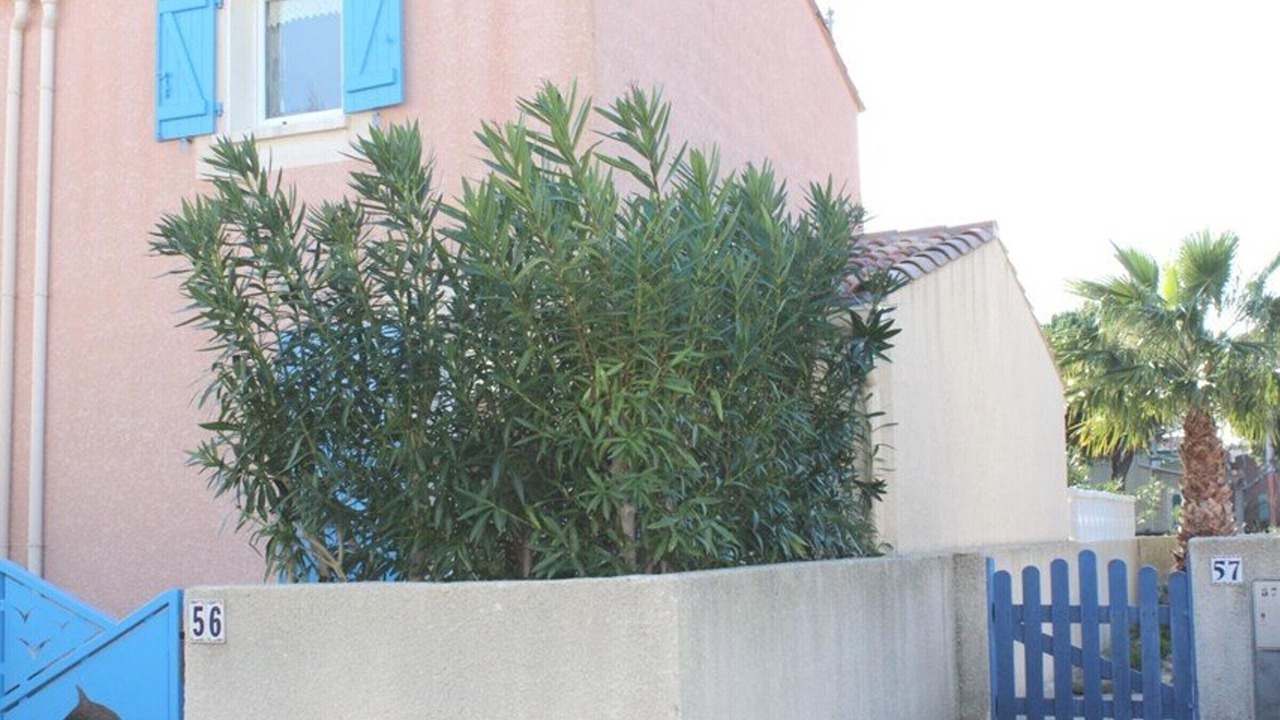 Photo of Outdoor in Gruissan