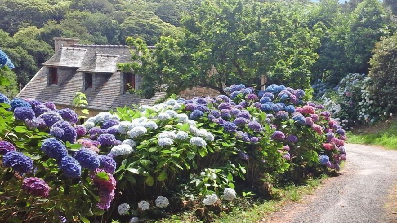 Photo of Outdoor in Penvenan