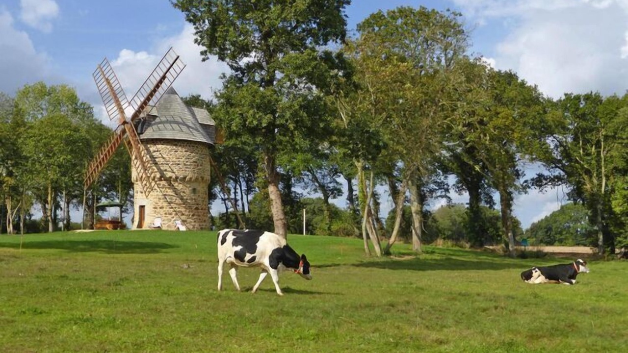 Photo of Outdoor in Gommenec'h
