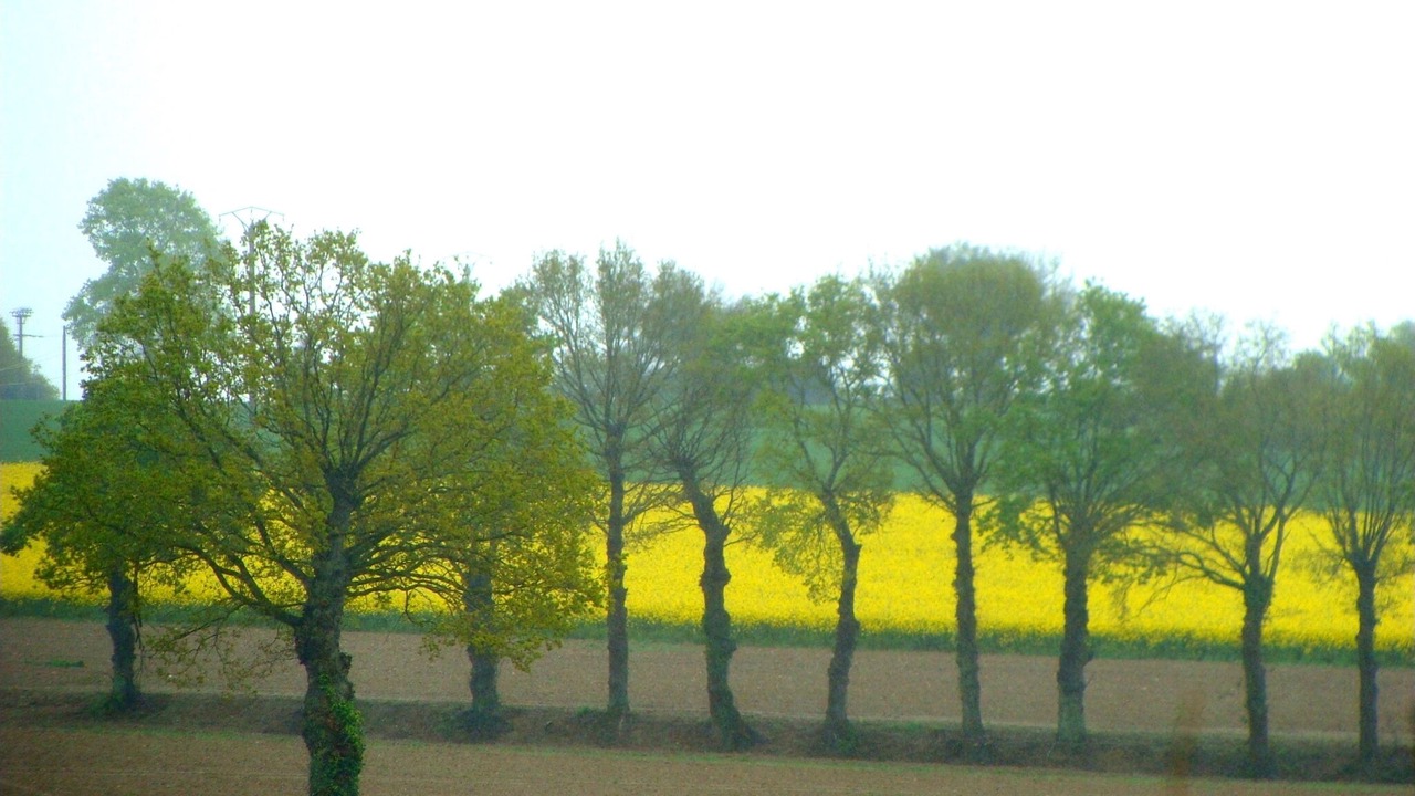 Photo of Outdoor in Lamballe