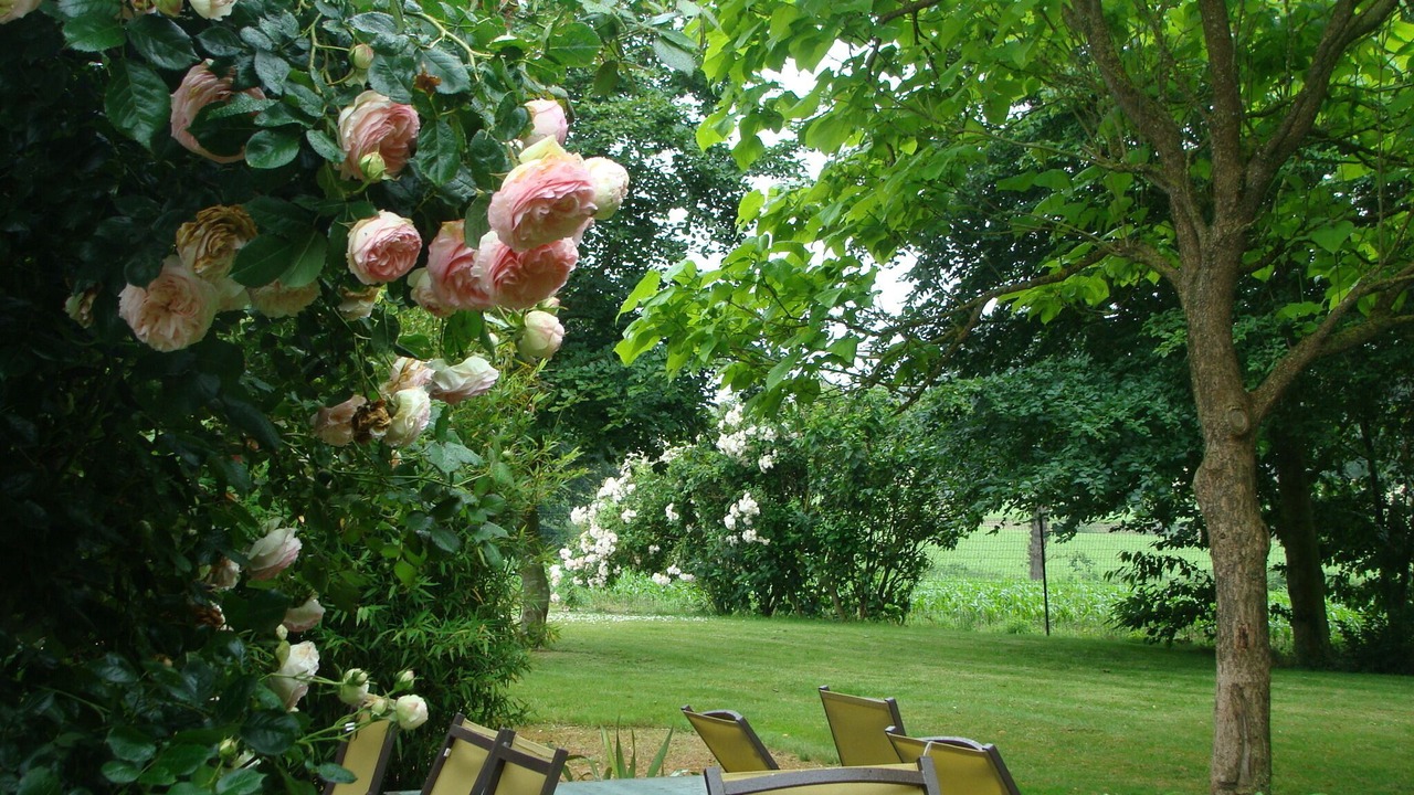 Photo of Outdoor in Lamballe