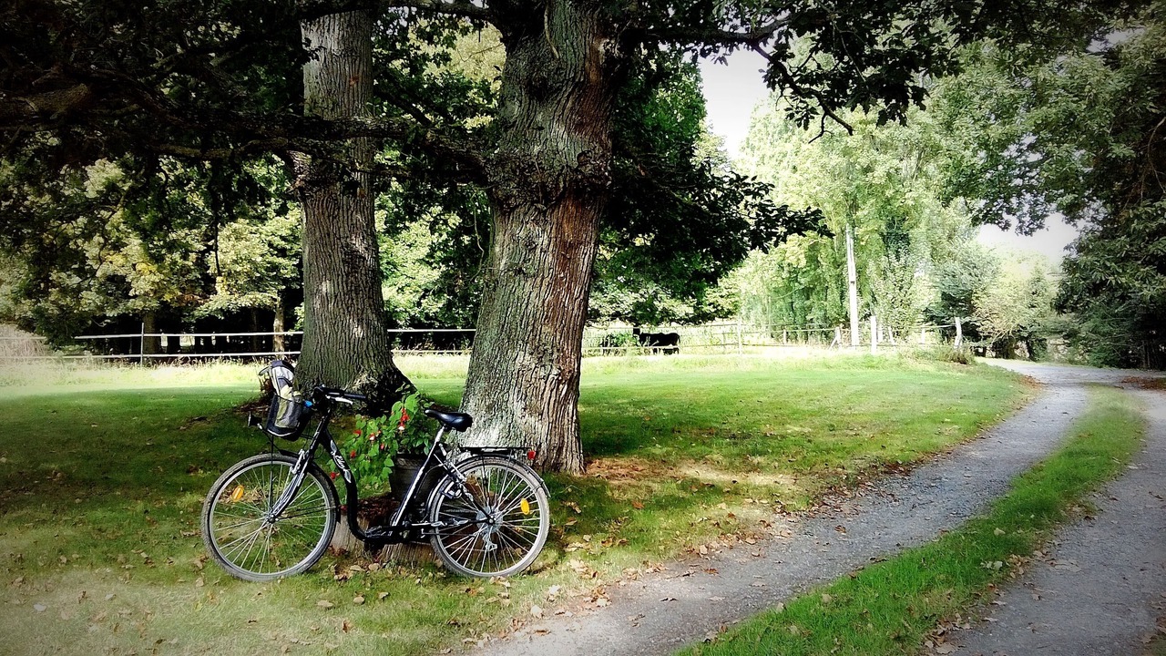 Photo of Outdoor in Lamballe