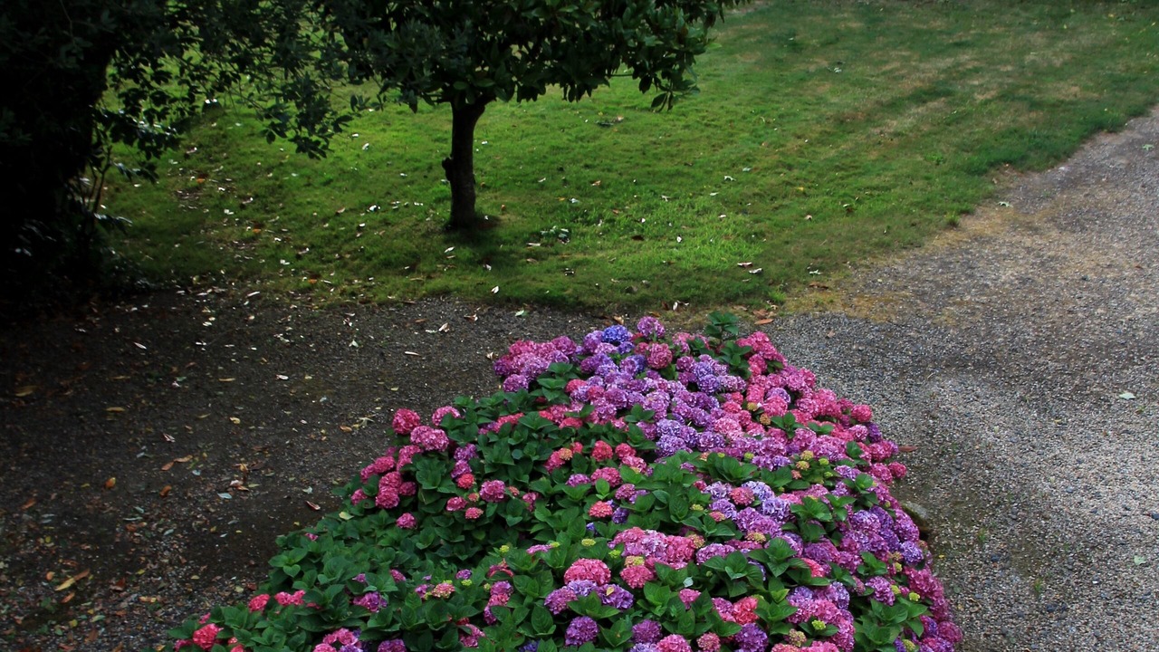 Photo of Outdoor in Lamballe