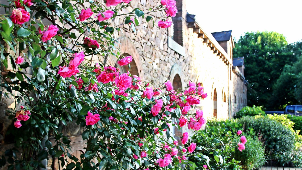 Photo of Outdoor in Lamballe