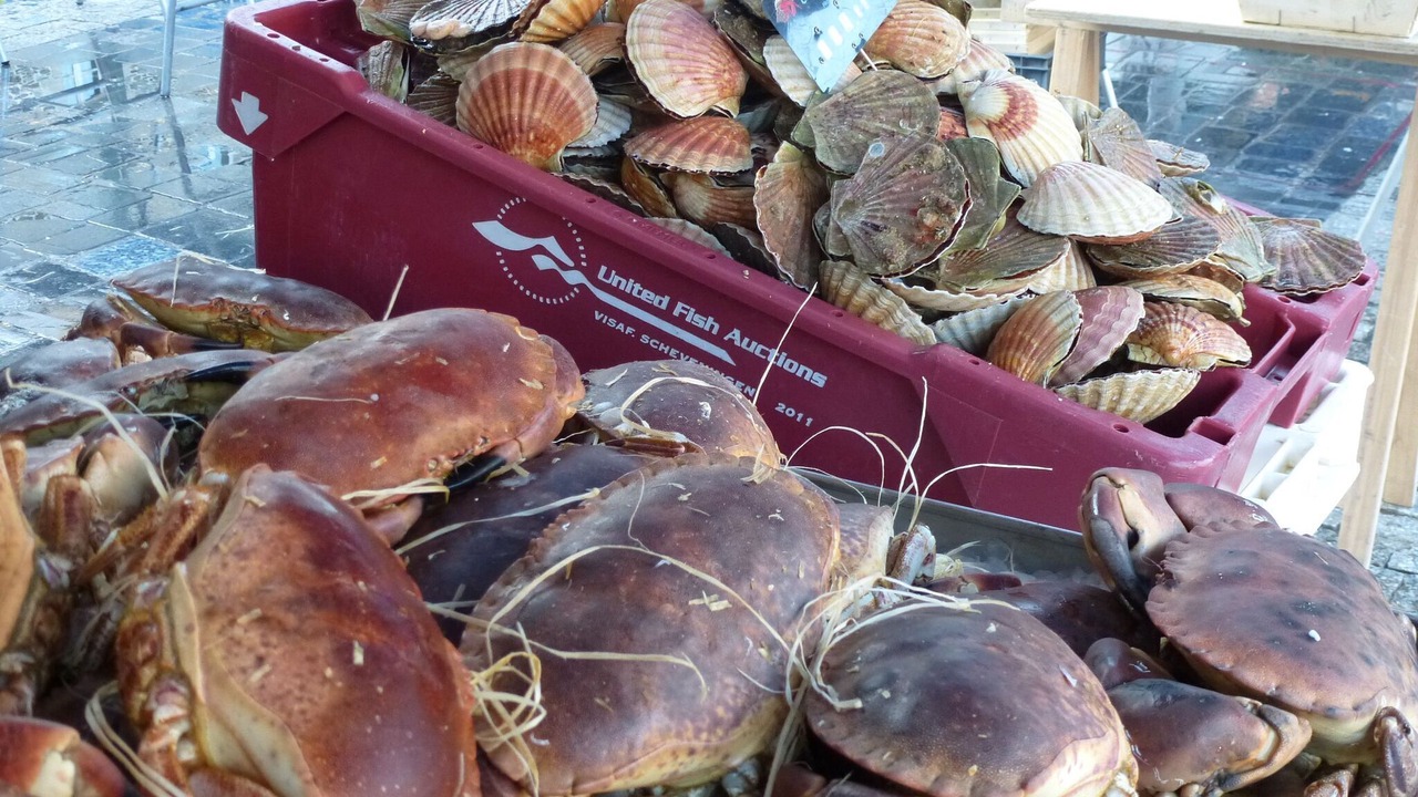 Photo of Others in Etables-sur-Mer