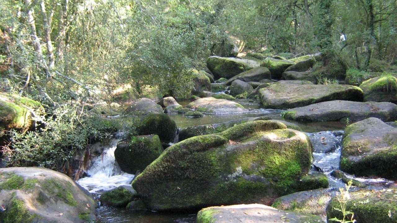 Photo of Others in Plouvara