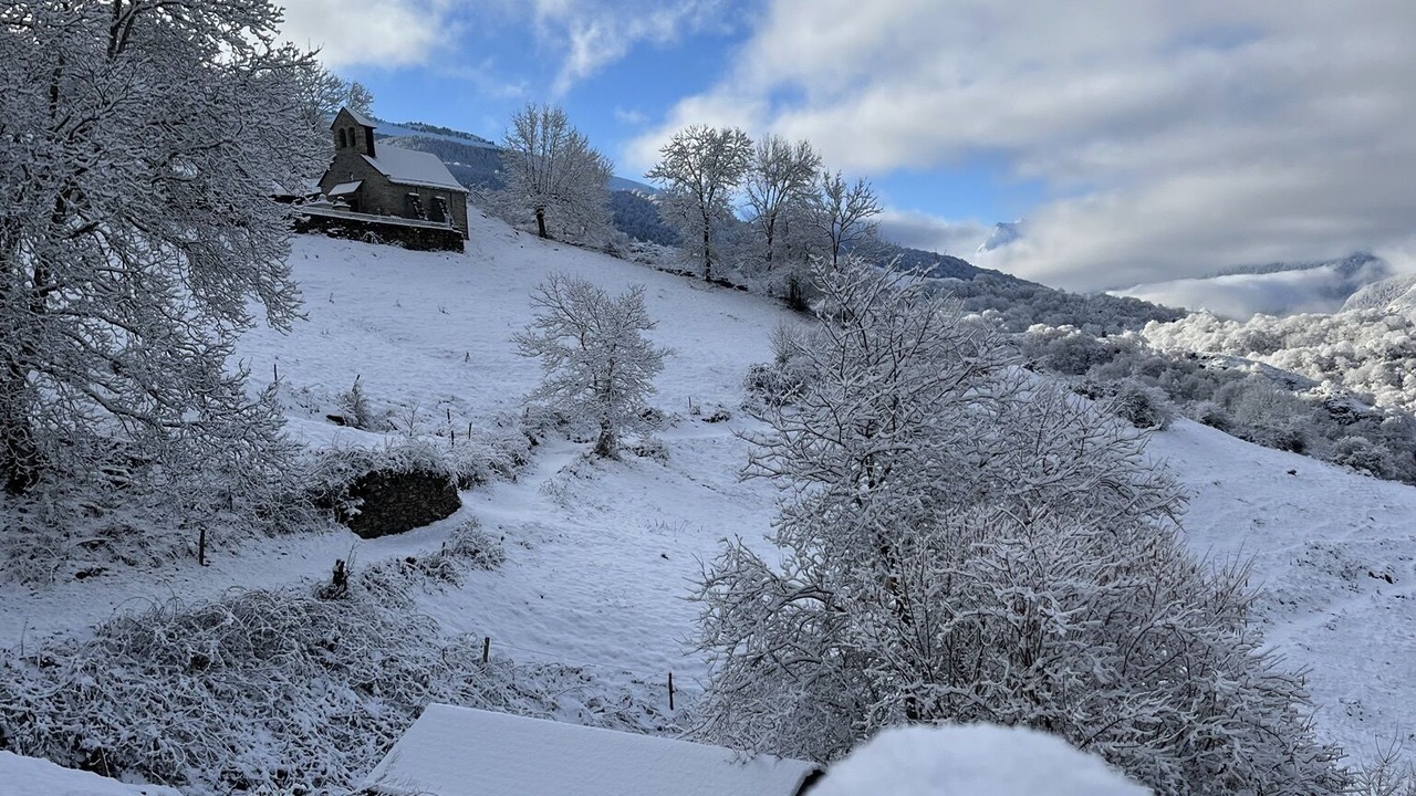 Photo of Others in Baren