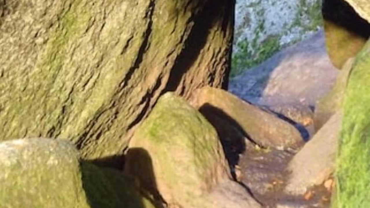 Photo of Others in Plestin-les-Greves