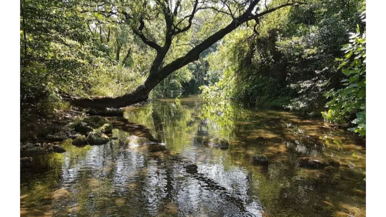 Photo of Outdoor in Sollies Pont