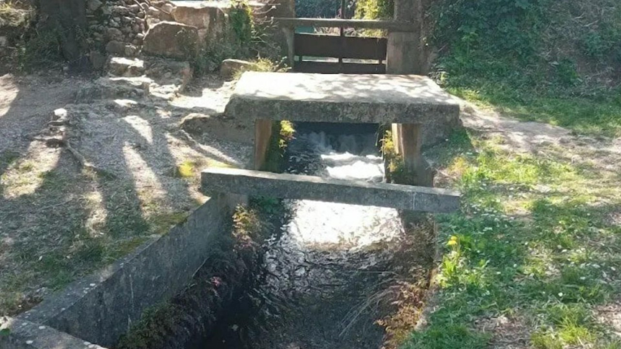 Photo of Others in Sollies Pont