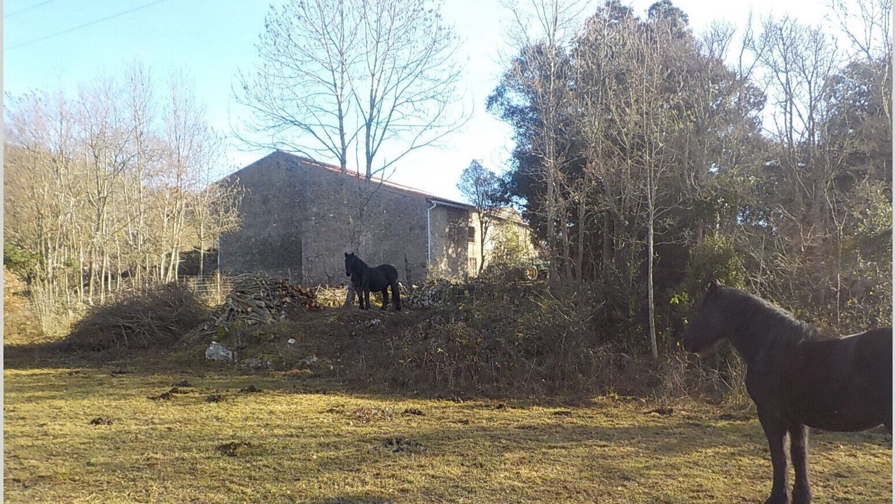 Photo of Outdoor in Quirbajou