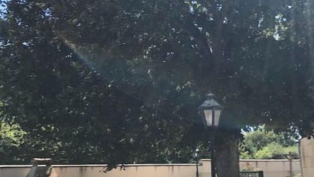 Photo of Outdoor in Coulours