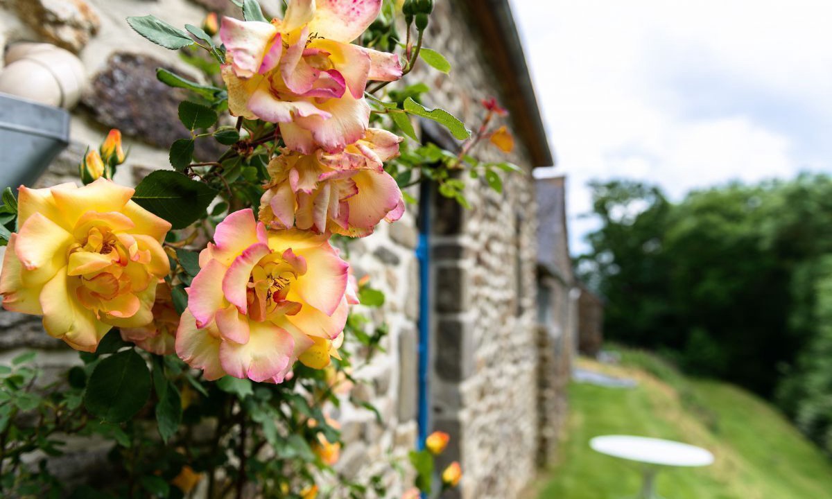 Photo of Outdoor in Corseul