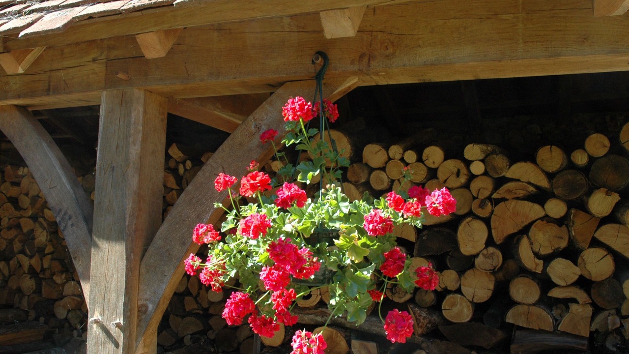 Photo of Outdoor in Rouffignac-Saint-Cernin-de-Reilhac