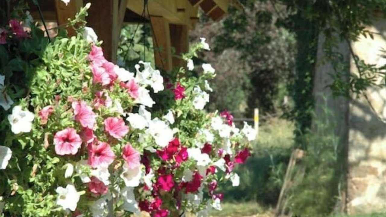 Photo of Outdoor in Rouffignac-Saint-Cernin-de-Reilhac