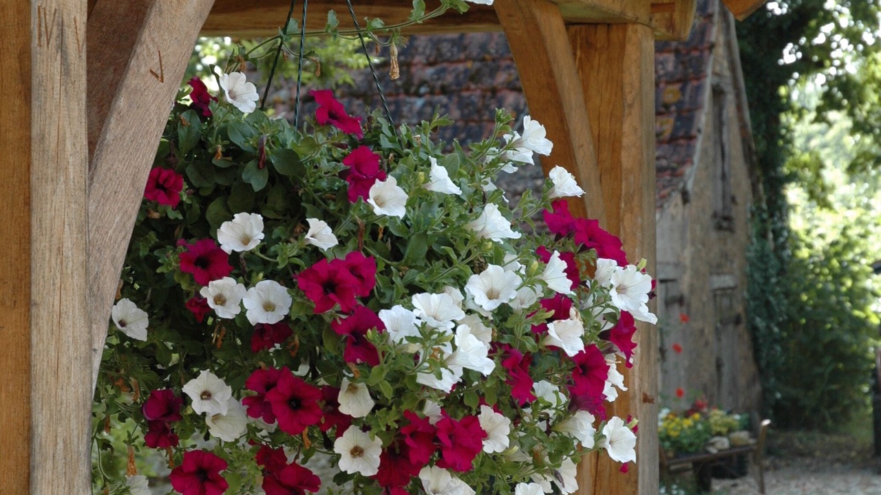Photo of Outdoor in Rouffignac-Saint-Cernin-de-Reilhac