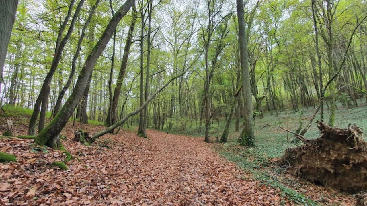 Photo of Others in Vaudeurs