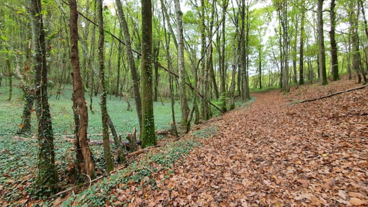 Photo of Outdoor in Vaudeurs