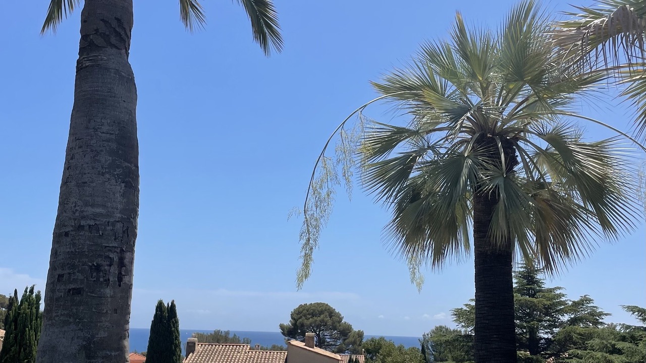 Photo of Outdoor in La Ciotat