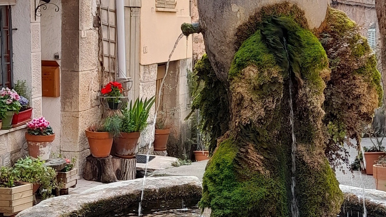 Photo of Outdoor in Bargemon